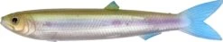 Rhino 15g 135mm Soft-Finny Super Smelt Fish Smell