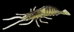 Jenzi Real Shrimp Imitation With UV