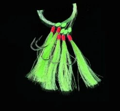 Jenzi Mackerel-Rig Chartr