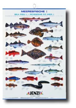Jenzi Water Fish Chart