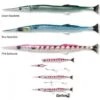 Savage Gear 3D Line Thru Needlefish Pulsetail